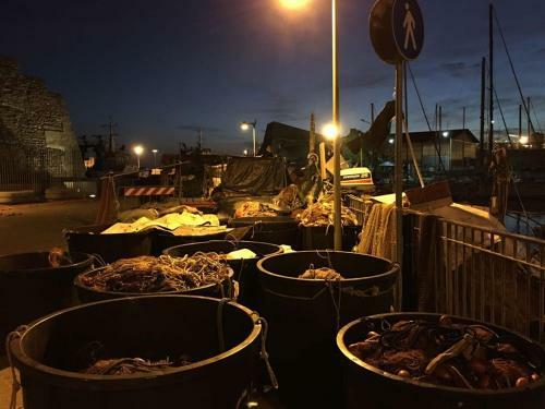 Hostal Quattro Stelle Al Porto Affittacamere