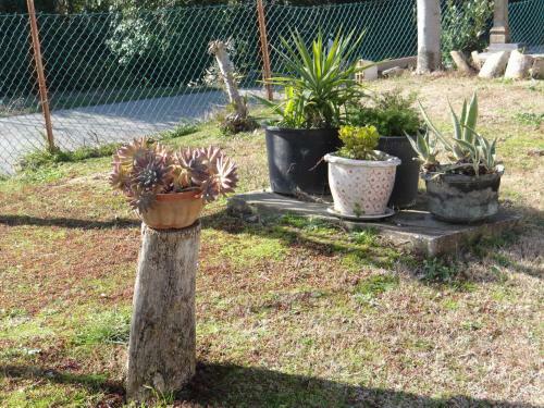 Villetta In Collina A Due Passi Dal Mare
