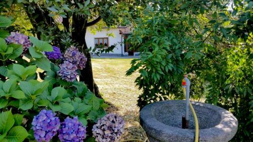 Villa Casa Amalia - Molino Maufet M�hle