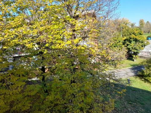 Apartamento Casa Di Sole Appartamento A Crema
