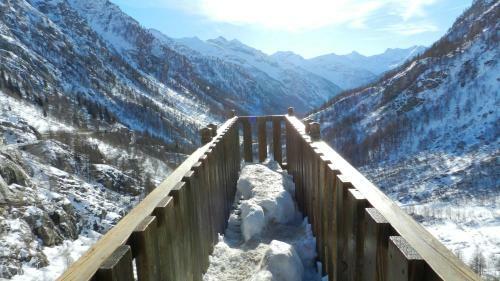 Apartamento Appartamento In Baita - C� Dul Creola