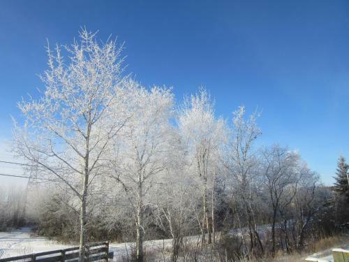 Bed & Breakfast G�te Au Bonheur Du Voyageur