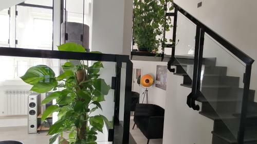 Apartamento La Suite Sul Mare