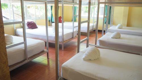 Albergue Chaokoh Phi Phi Resort And Dorm Room