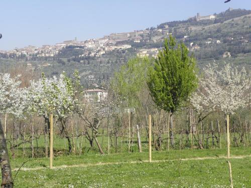Villa San Marco