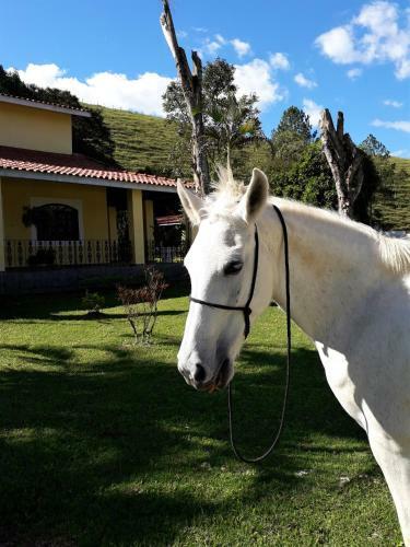 Recanto Do Ribeir�o
