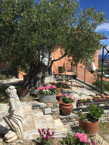 Il Poggio Del Castello La Casa Dei Gio - Greta