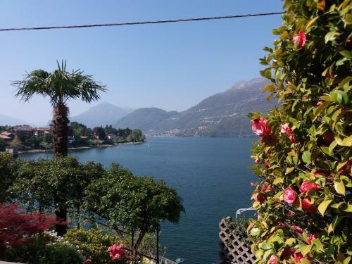 Apartamento Villa Plinio Lago Di Como