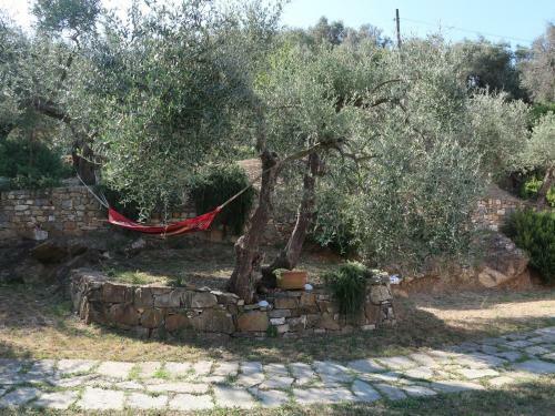 Locazione Turistica Villa Ulivo