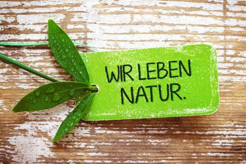 Hostal Pension Und Apartment Haus Angelika