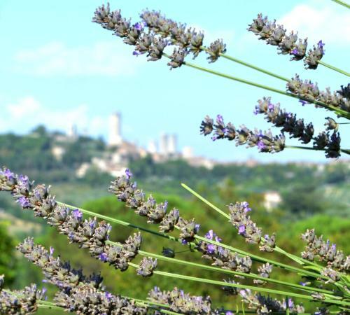 Agroturismo Podere Bellavista