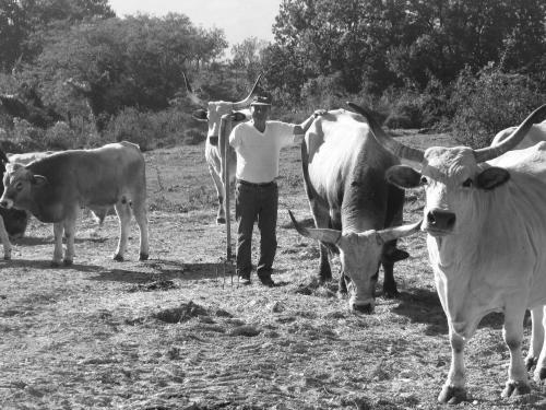 Agroturismo Fattoria Bio L'a Ceccoli