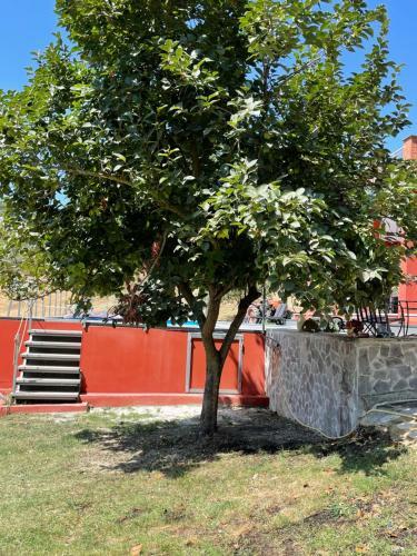 Luxury Villa Arianna