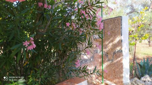 Estate Nel Trullo