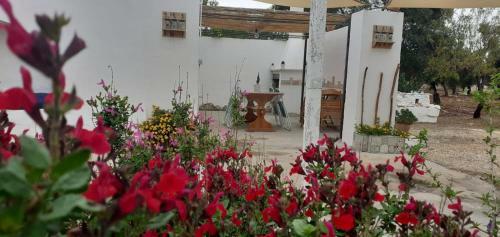 Estate Nel Trullo
