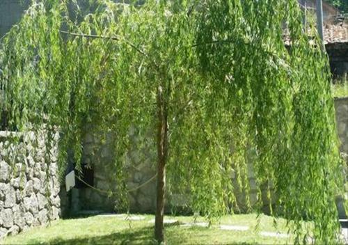 Apartamento La Villetta In Montagna