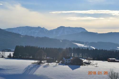 Private Luxury Chalet