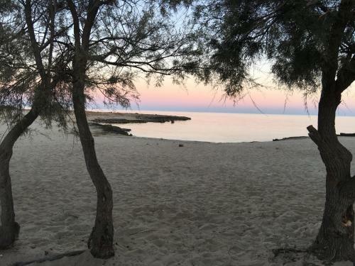 Hostal Albachiara