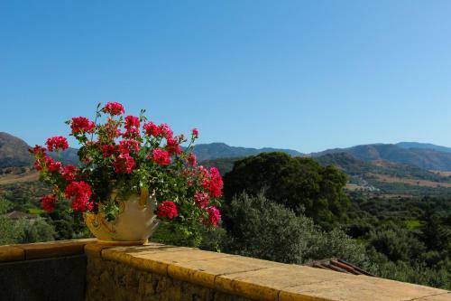 Apartamento Tra Montagne E Mare