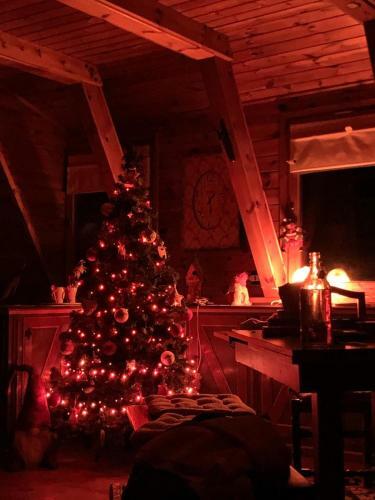Chalet Alma