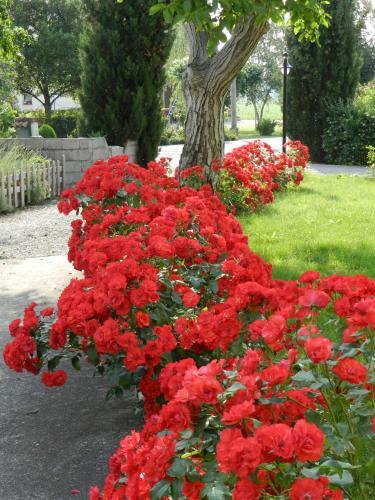 Bed & Breakfast Al Sol Levante
