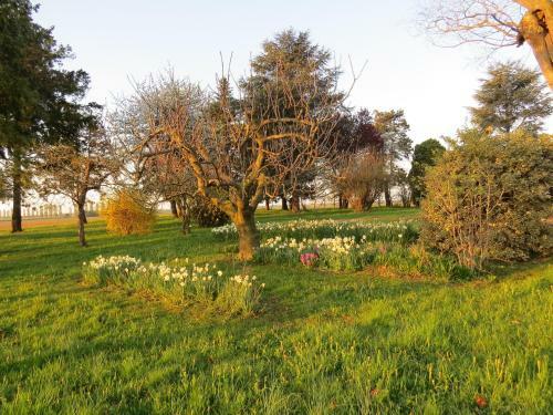La Centuria Societ� Agricola Casa Vacanze