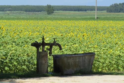 La Centuria Societ� Agricola Casa Vacanze