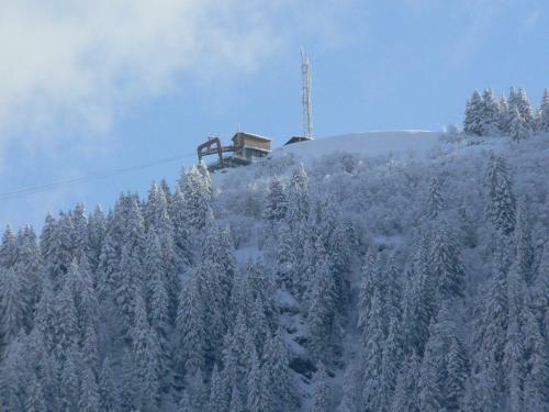 Petit Chalet Individuel De Caract�re