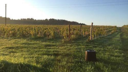 Le Barail (proche De St.emilion)