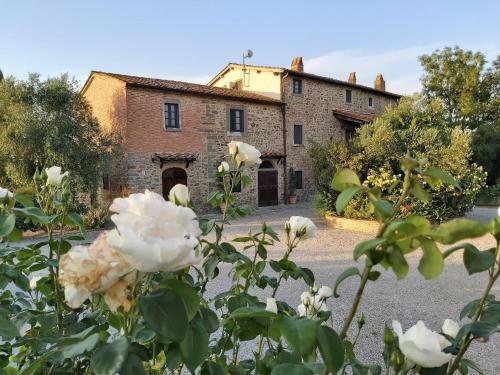 Apartamento Villa La Mucchia - Viola