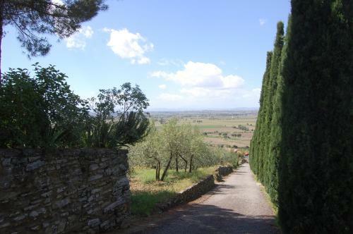 Agroturismo La Maest� Tuscan Sun