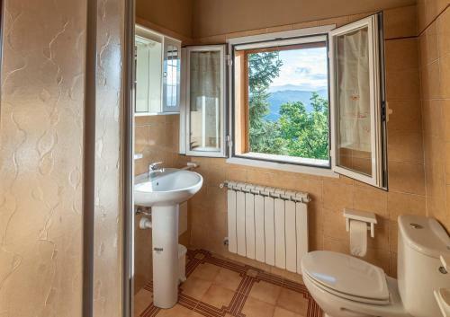 Casetta Maduneta Immersa In Un Oliveto