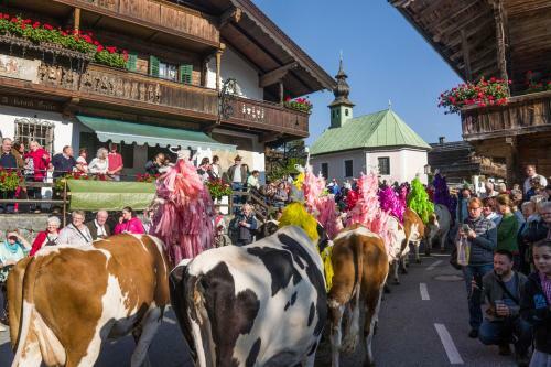 Posada Gasthof Fuchswirt