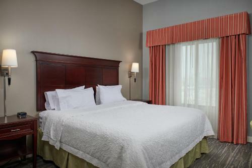 Hotel Hampton Inn & Suites Denver/highlands Ranch