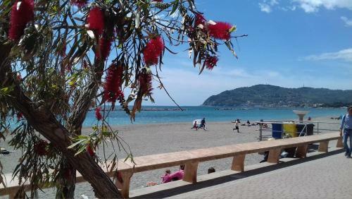 Bed & Breakfast Il Girasole ...at Andorus' House
