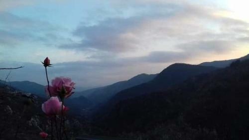 Bed & Breakfast Il Girasole ...at Andorus' House