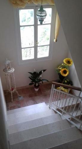 Bed & Breakfast Il Girasole ...at Andorus' House