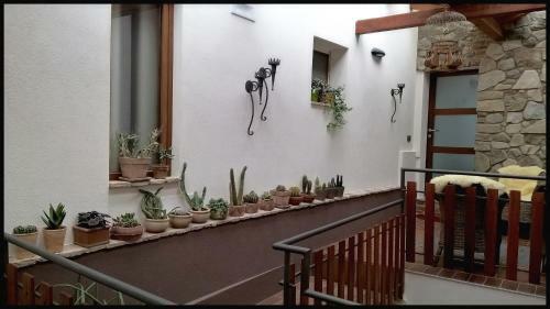 Casa Vacanze Borc Dai Cucs