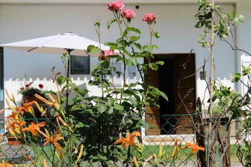 Bed & Breakfast Il Casolare Del Medio Olona