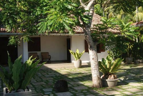 The Saffron House