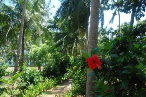 The Saffron House