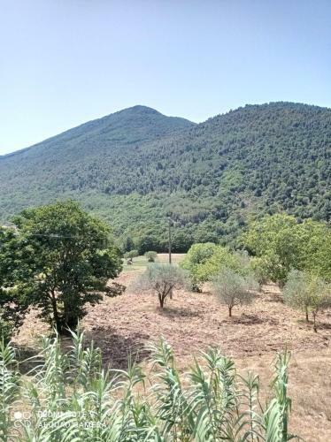 Bed & Breakfast La Carrozza Sul Titerno