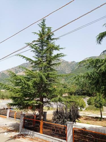 Bed & Breakfast La Carrozza Sul Titerno