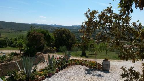Agroturismo Podere Mammoleta