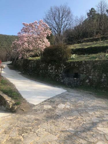Apartamento Studio Avec Terrasse Dans Mas Historique Cevenol