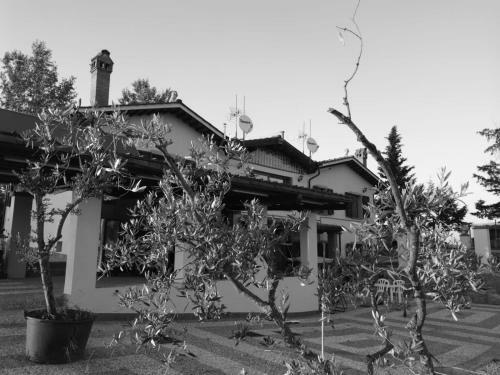 Bed & Breakfast Masseria Le Querciole