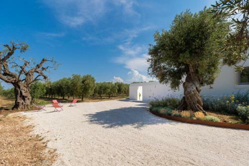 Villa Masseria Pensato Con Piscina