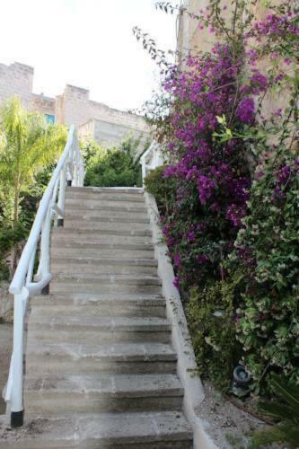 Apartamento Laughing House With Hypogeum Garden