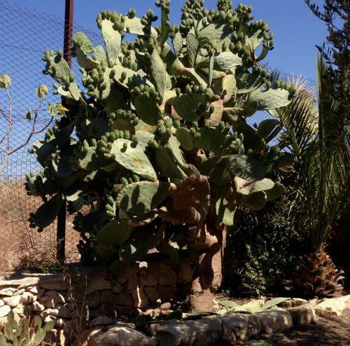 Apartamento Villa Dea