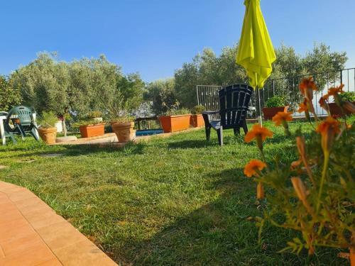 Hostal Il Colle Degli Ulivi